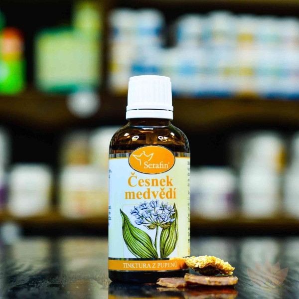 Zobrazit detail produktu - Česnek medvědí - tinktura z pupenů product