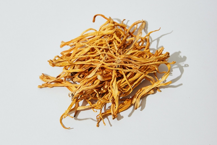 Cordyceps v zimě a ochrana ledvin Cordyceps v zimě a ochrana ledvin