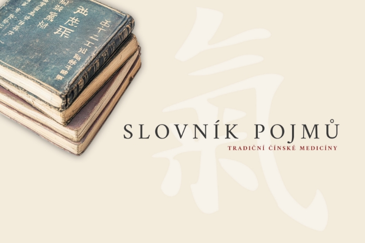 Tradiční čínská medicína - slovník pojmů