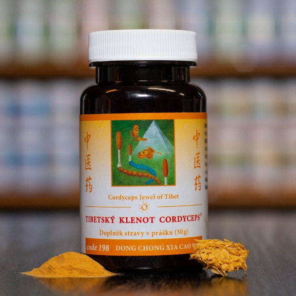 Zobrazit detail produktu - Tibetský klenot cordyceps (198) Tibetský klenot cordyceps