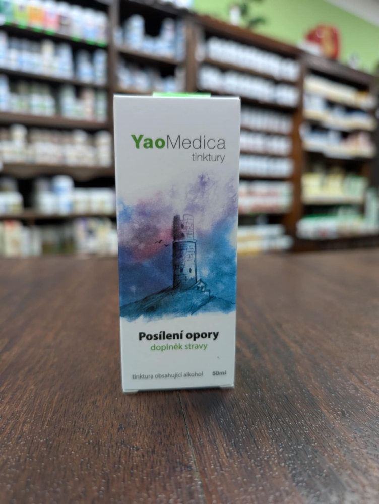 Obrázek 009 - Posílení opory